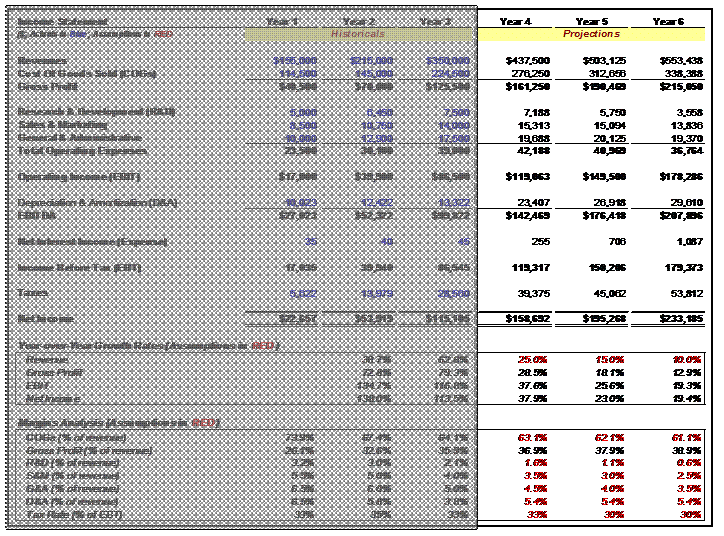 Sample Project Income Statement